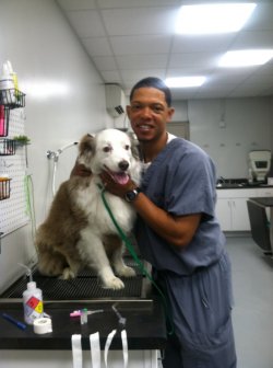 AllStar Animal Clinic - Veterinarian in New Orleans, LA US :: Meet Our Team